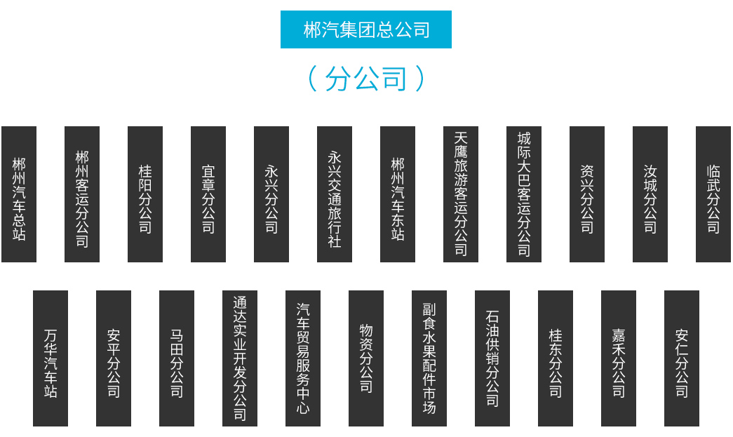 郴汽集團總公司分公司